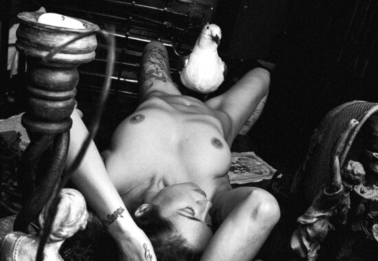 nude-on-antique-table-seagull01